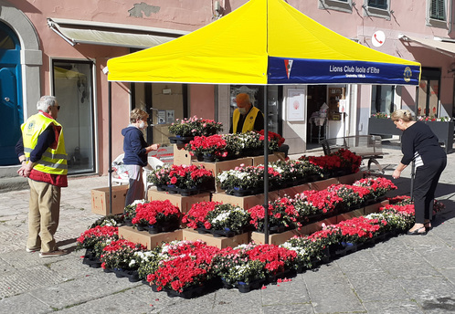 MATRIMONIO CELEBRATAO AL FORTE FALCONE