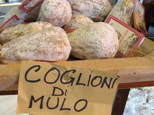 CINGHIALI, LE PALLE DEL NONNO E I COGLIONI DI MULO