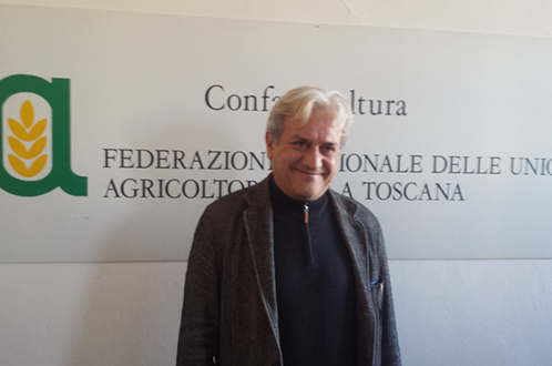 Ortofrutta, l’allarme di Confagricoltura: “7 gelate in un mese, perso l'80% della produzione di albicocche